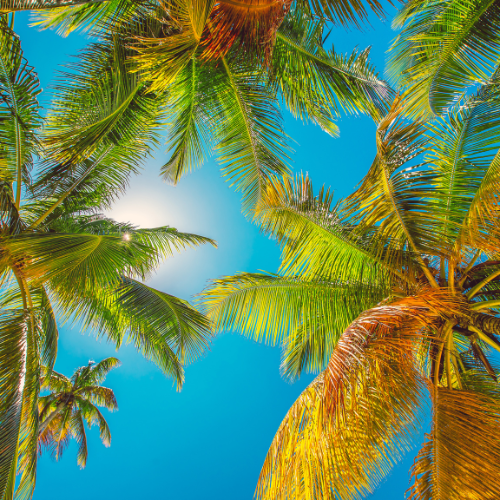 Punta Cana abril 2026